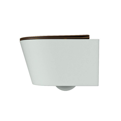 Mondiaz LAVIE hangtoilet – spoelrandloos – 36 x 53 cm – met softclose zitting – Greey (lichtgroen/grijs), zitting Rust (bruin) SW1208700