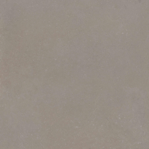ÉCHANTILLON Terravito Selvico Carrelage parquet céramique mural et de sol - 120x120cm - 9mm - Greige SW1579572
