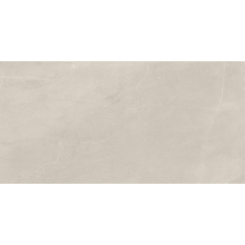 Ceralto Alpina Slate Carreau de sol - 60X120 - 6.5mm - mat - camargue SW1578753