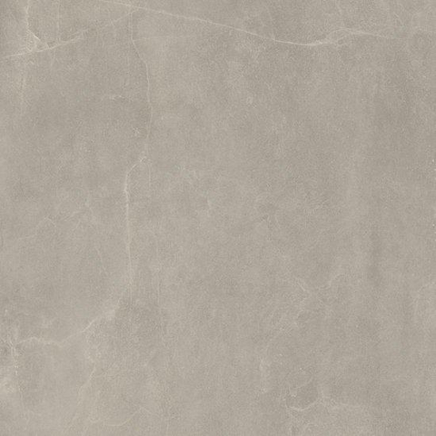 Ceralto Alpina Slate Vloertegel - 120X120 - 6.5mm - mat - grijs SW1578911
