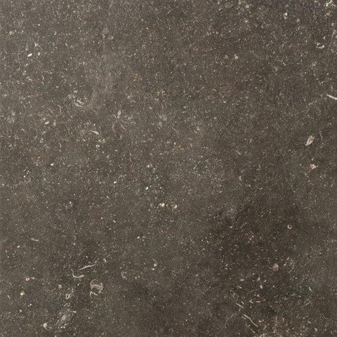 SAMPLE Ceralto Regalia Luxe 600X600 Elemental Desir Mat SW1122951