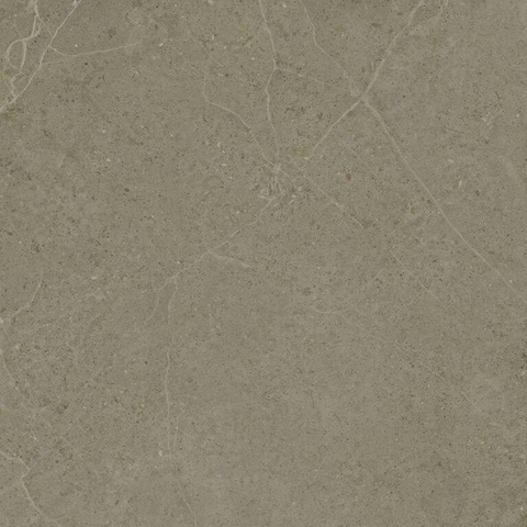 ÉCHANTILLON Terravito Allora carreau mural et de sol - 60x60cm - rectifié - Aspect béton - Taupe mat (brun) SW1130747