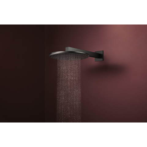 Hansgrohe Raindance Alive S - hoofddouche 300 - 1jet - ecosmart - geborsteld zwart chroom (antraciet) SW1388475