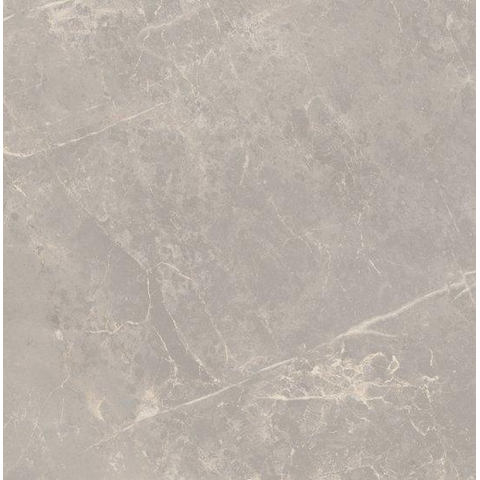SAMPLE Ceralto Statuva Marble Vloertegel - 60x60cm - 9.0mm - gerectificeerd - Grey dolomia SW1474534