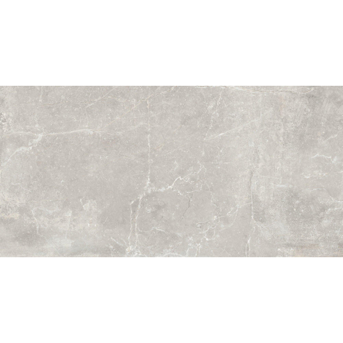 ÉCHANTILLON Terravito Unicoa carreau mural et de sol - 120x60cm - 9mm - rectifié - Gris clair SW1221659