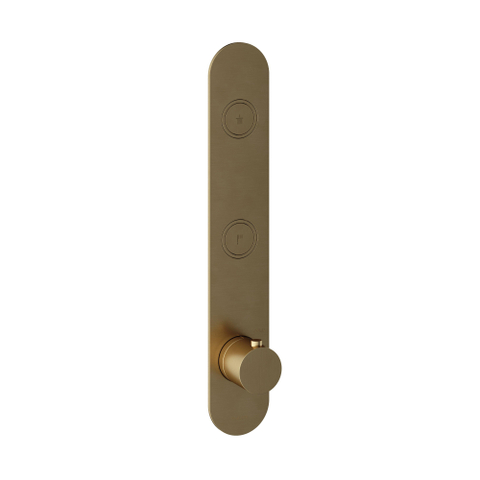 Hotbath Cobber Afbouwdeel inbouwthermostaat - met 2 pushbuttons verticale plaatsing - geborsteld messing goud SW229945
