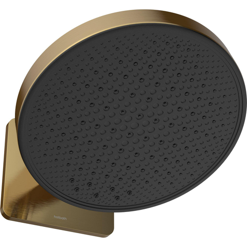 Hotbath &MORE Hoofddouche - 30cm - inbouw - rond - met box - 2 functies - PVD - geborsteld messing (goud) SW1245569