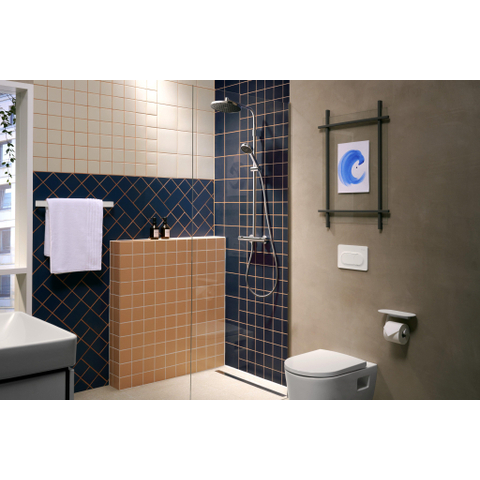 Hansgrohe IFrame Original S Drukplaatvoor - dualflush - mat wit SW1413495