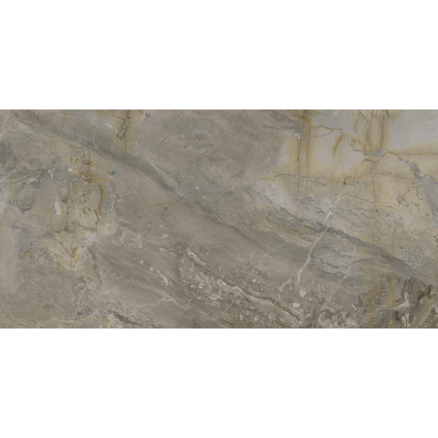 ÉCHANTILLON Terravito Ivello carreau mural et de sol - 60x120cm - rectifié - aspect pierre naturelle - Nature poli (gris) SW1221327