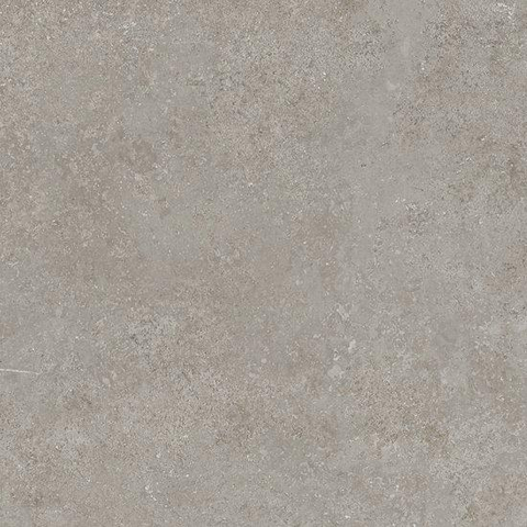 SAMPLE Ceralto Olivaro Sete Vloertegel - 60X60 - 10mm - mat - zilver SW1591637