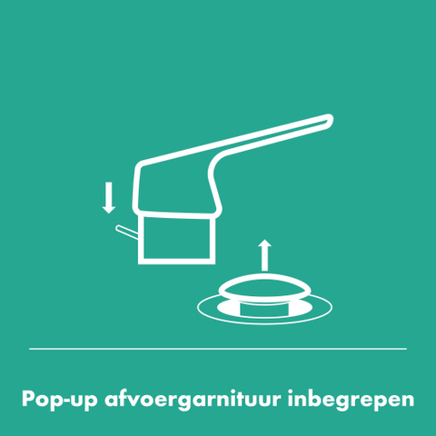 Hansgrohe Rebris s 1 greeps bidetmengkraan - met trekwaste metaal chr. - chroom SW802946
