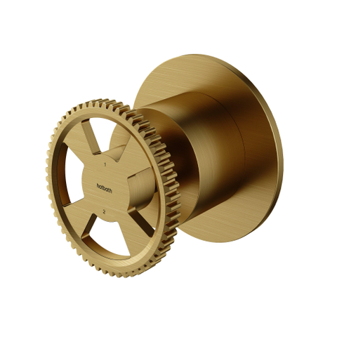 Hotbath Cobber @work Inbouwkraan - met 2 functies omstel - PVD - geborsteld messing (goud) SW440542