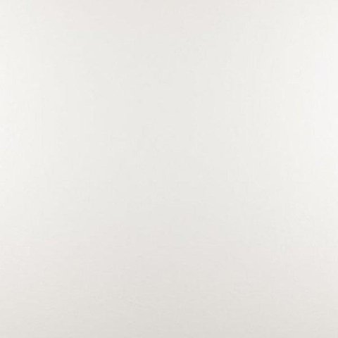 ÉCHANTILLON Ceralto Briano Accent Carrelage sol et mur 100x100cm 6mm rectifié R9 grès cérame White SW912626