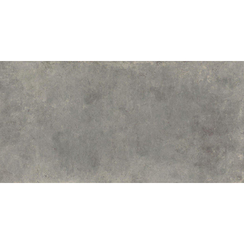 ÉCHANTILLON Terravito Sigillo carreau mural et de sol - 59.5x119.5cm - 8mm - rectifié - Aspect béton - Gris SW1130880