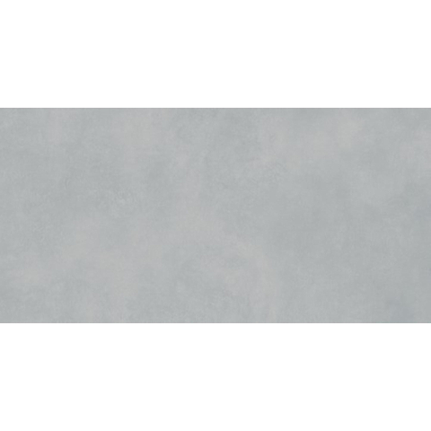 SAMPLE Ceralto Elmira Alto 298X598 Extra WADVK823 Light Grey SW1123096