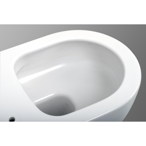 Plieger Kansas hangtoilet – Rimless – diepte 54,5 cm – met softclose zitting – mat wit SW702230