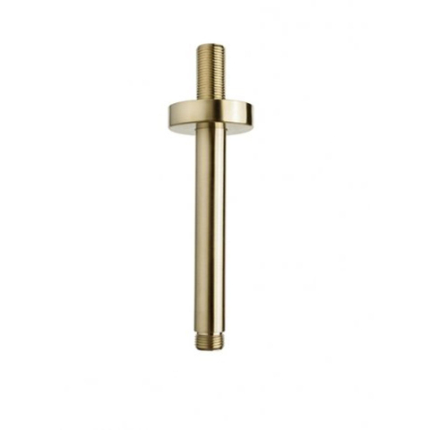 Wiesbaden Unimatch Douchearm - met plafondbevestiging - 15cm - PVD - geborsteld messing (goud) SW373435