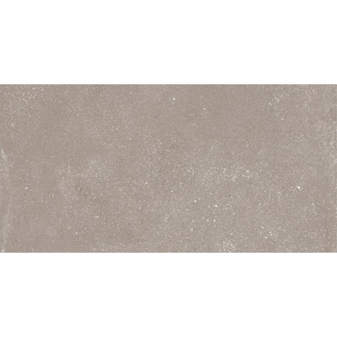 Ceralto Ivarno Core Vloertegel - 60X120 - 6.5mm - mat - zilver SW1578854