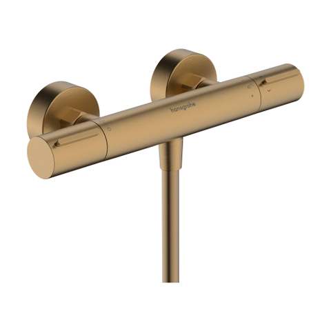 Hansgrohe Ecostat Element opbouw douchethermostaat Brushed Bronze SW1566536