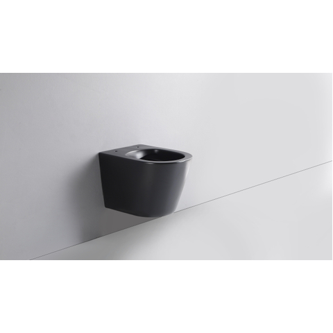 QeramiQ Dely hangtoilet – spoelrandloos – diepte 51,7 cm – met 35 mm softclose zitting – mat zwart SW1225249