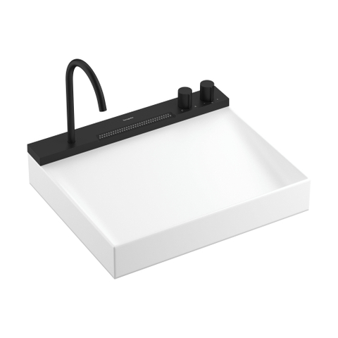 Hansgrohe Avalegra Wastafel / Fontein SW1388080