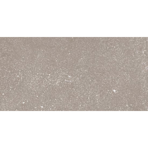 Ceralto Ivarno Core Vloertegel - 30X60 - 10mm - mat - zilver SW1578952