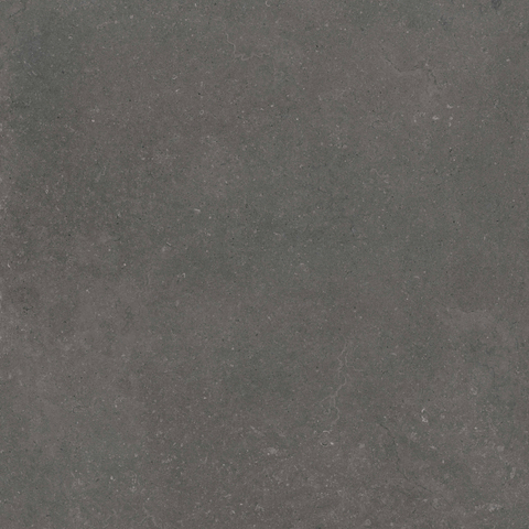 ÉCHANTILLON Terravito Selvico Carrelage parquet céramique murale et de sol - 120x120cm - 9mm - Anthracite SW1579575