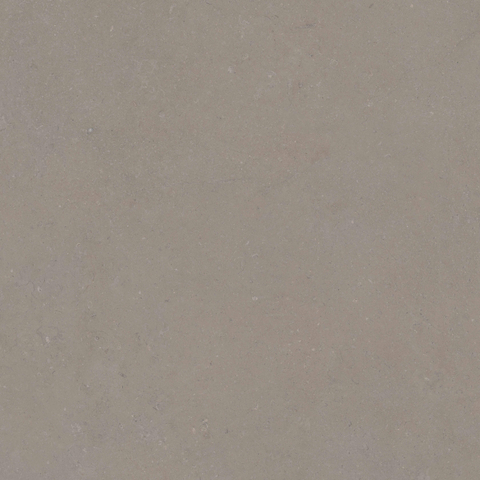ÉCHANTILLON Terravito Selvico Carrelage parquet céramique mural et de sol - 120x120cm - 9mm - Greige SW1579572