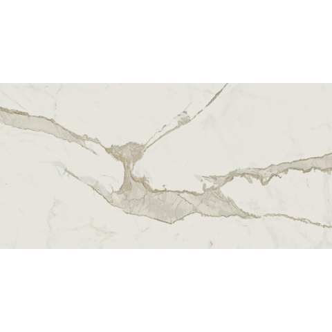 ÉCHANTILLON Terravito Adesio Carrelage de sol et de mur - 30x60cm - rectifié - mat Crème SW1130938