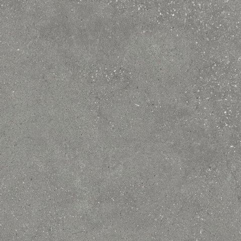 ÉCHANTILLON Ceralto Zavira Wood Carrelage sol et mur 60x60cm Mat Gris SW913209