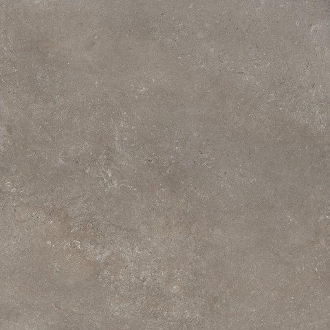 Ceralto Amaro Plank Carreaux dalles petites - 120x120cm - 9.0mm - rectifié - Iron SW1474088