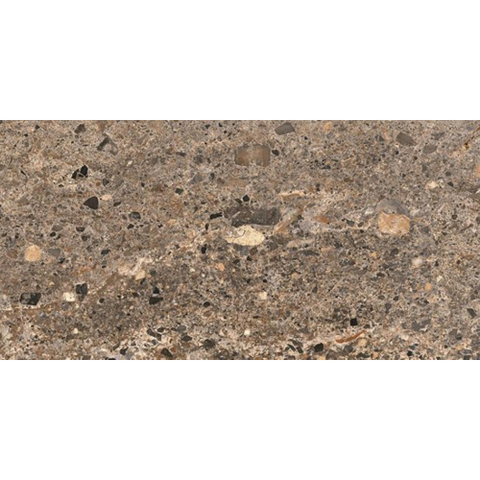 Ceralto Alabro Vein Vloertegel - 60x120cm - 9.0mm - gerectificeerd - Terra SW1529478