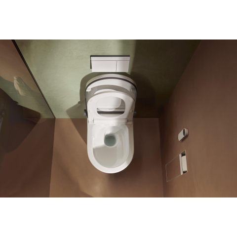 Hansgrohe iFrame Element E plaque de commande pour - double chasse - bronze brossé SW1388329