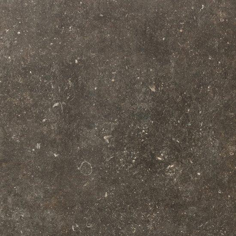 ÉCHANTILLON Ceralto Regalia Luxe 600X600 Elemental Désir Mat SW1122951
