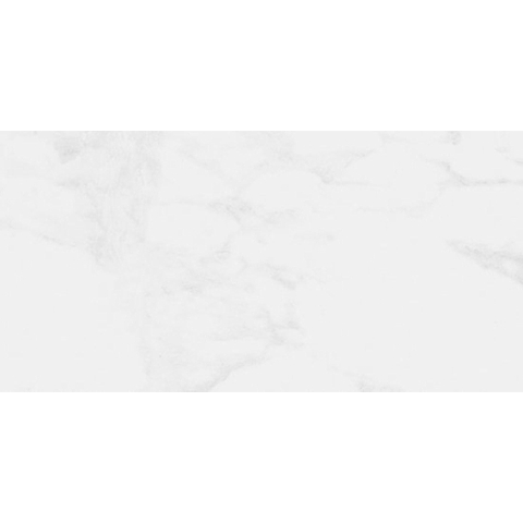 ÉCHANTILLON Ceralto Elmira Plank 300X600 Natura Kalacata R819 Gris SW1122925