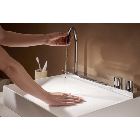 Hansgrohe Avalegra Wastafel / Fontein SW1387807