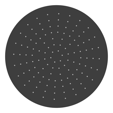 Wiesbaden UniMatch pomme de douche ronde 30 x 0,8 cm noir mat SW242759