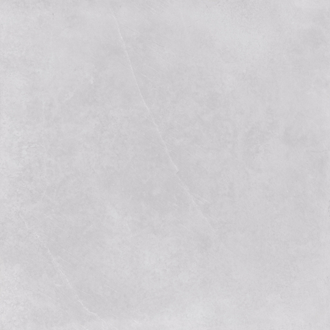 ÉCHANTILLON Terravito Allino carreau mural et de sol - 60x60cm - rectifié - aspect béton - Pearl mat (gris) SW1130777