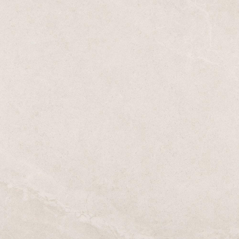 ÉCHANTILLON Ceralto Sylvaro Tone Carreau de sol 60x60cm 9mm Rectifié Résistant au gel Mat Blanc SW913246