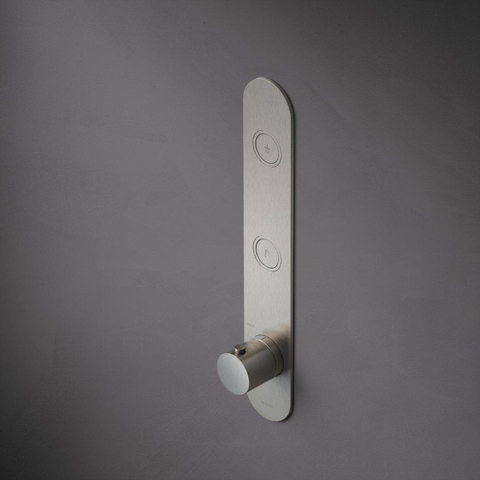 Hotbath Cobber Afbouwdeel inbouwthermostaat - met 2 pushbuttons verticale plaatsing - geborsteld nikkel (RVS) SW229942