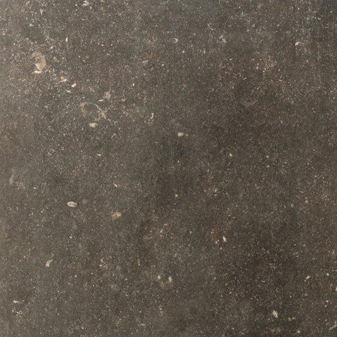SAMPLE Ceralto Regalia Luxe 600X600 Elemental Desir Mat SW1122951