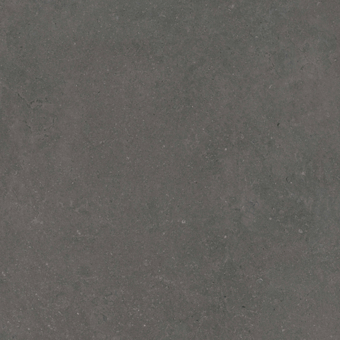 ÉCHANTILLON Terravito Selvico Carrelage parquet céramique murale et de sol - 120x120cm - 9mm - Anthracite SW1579575