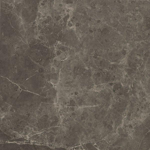 ÉCHANTILLON Terravito Fareno carreau mural et de sol - 60x60cm - 9mm - Carré - rectifié - effet marbre - brun/gris mat SW735946
