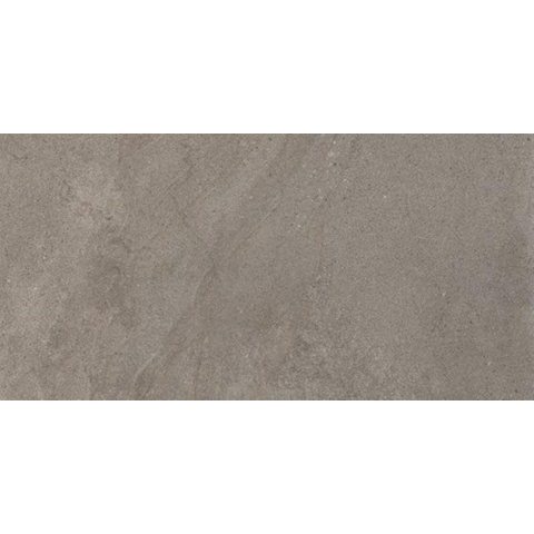 Ceralto Amaro Plank Carreau de sol - 60x120cm - 9.0mm - rectifié - Iron SW1473990