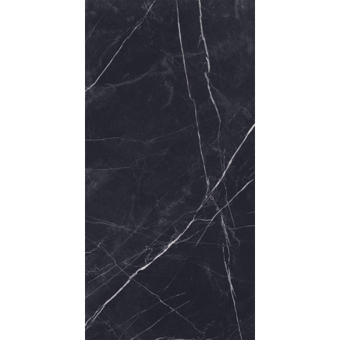 ÉCHANTILLON Terravito Dareno Carrelage de sol et de mur - 60x120cm - rectifié - brillant Noir SW1221533