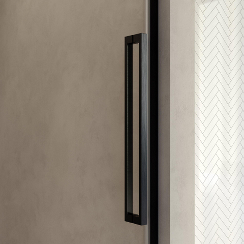 BRAUER Stellar porte de douche - 120x200cm - pour niche - porte pivotante - PVD - gunmetal brossé (anthracite) SW1418065