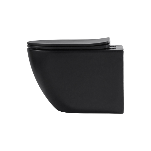 Aloni Pro hangtoilet – compact – spoelrandloos – diepte 49 cm – met softclose zitting – mat zwart SW1446224