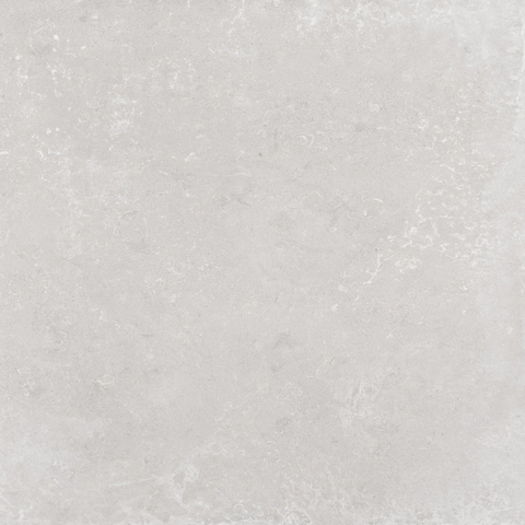 Terravito Calvero wand- en vloertegel - 60x60cm - 9.0mm - Vierkant - gerectificeerd - Betonlook - mat grijs - Pearl SW1077614
