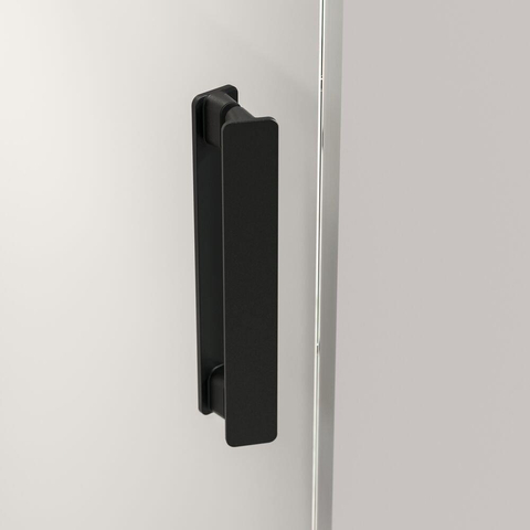 Sealskin Pure Nisdeur - 100x200cm - helder glas - 8mm - antikalklaag - zwart mat SW1079867