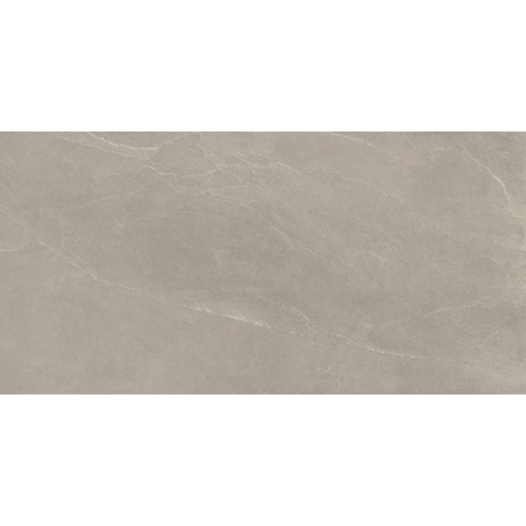 Ceralto Alpina Slate Vloertegel - 60X120 - 6.5mm - mat - grijs SW1578740